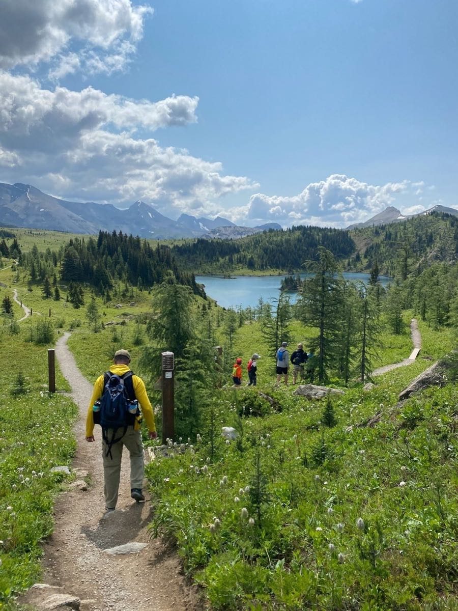 A hiker on a green alpine trail with a lake and mountains beyond