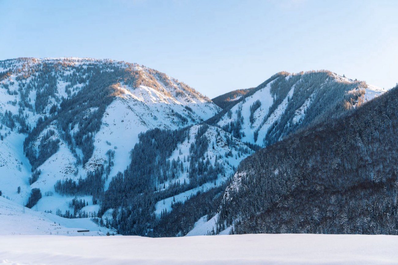 A snow-covered mountain flank catching low golden light